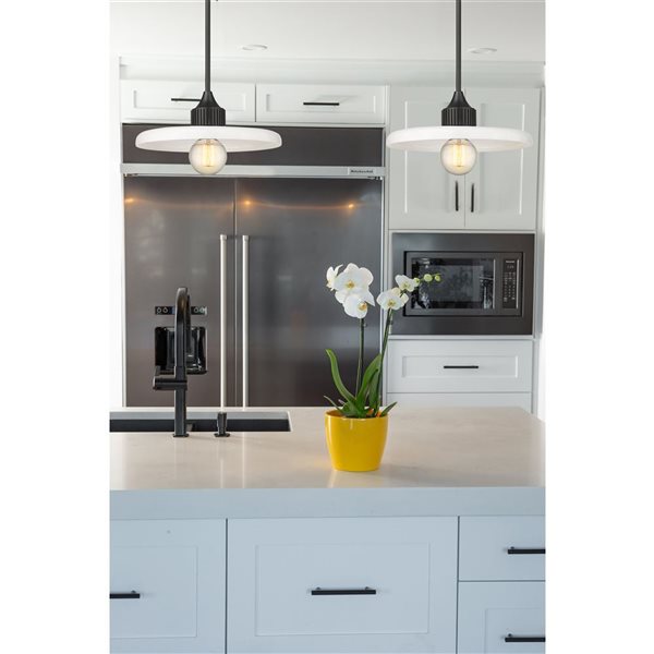 Z-Lite Matte Black Paloma 1-Light Pendant