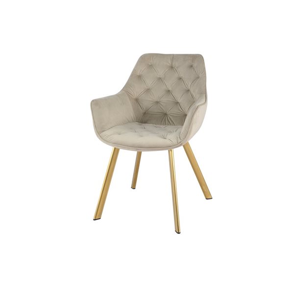 HomeTrend Ayami Contemporary Beige Velvet Upholstered Gold Metal Framed Arm Chair