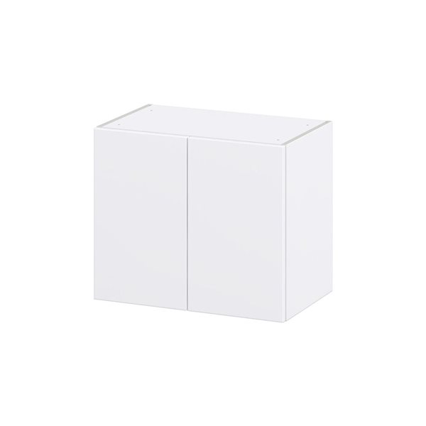 Hugo&Borg Lasalle 24 x 20 x 14.88-in Glacier White Door Wall Semi-Custom Cabinet