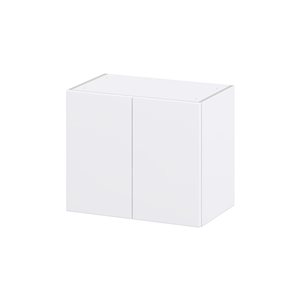 Hugo&Borg Lasalle 24 x 20 x 14.88-in Glacier White Door Wall Semi-Custom Cabinet