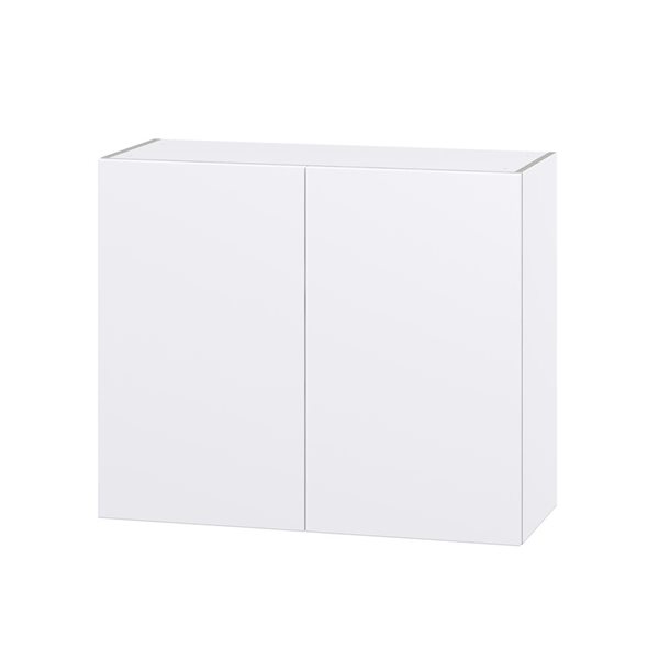 Hugo&Borg Lasalle 36 x 30 x 14.88-in Glacier White Door Wall Semi-Custom Cabinet