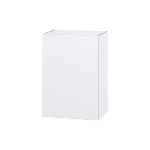 Hugo&Borg Lasalle 21 x 30 x 14.88-in Glacier White Door Wall Semi-Custom Cabinet