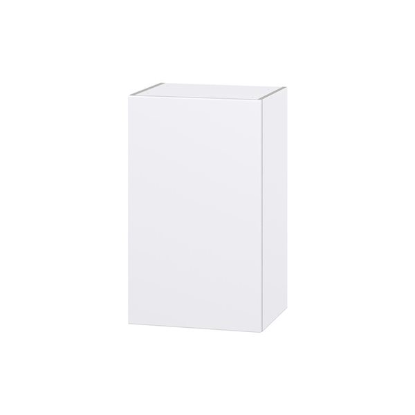 Hugo&Borg Lasalle 18 x 30 x 14.88-in Glacier White Door Wall Semi-Custom Cabinet