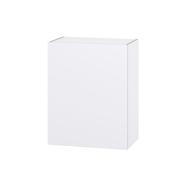 Hugo&Borg Lasalle 24 x 30 x 14.88-in Glacier White Door Wall Semi-Custom Cabinet