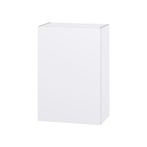 Hugo&Borg Lasalle 24 x 35 x 14.88-in Glacier White Door Wall Semi-Custom Cabinet