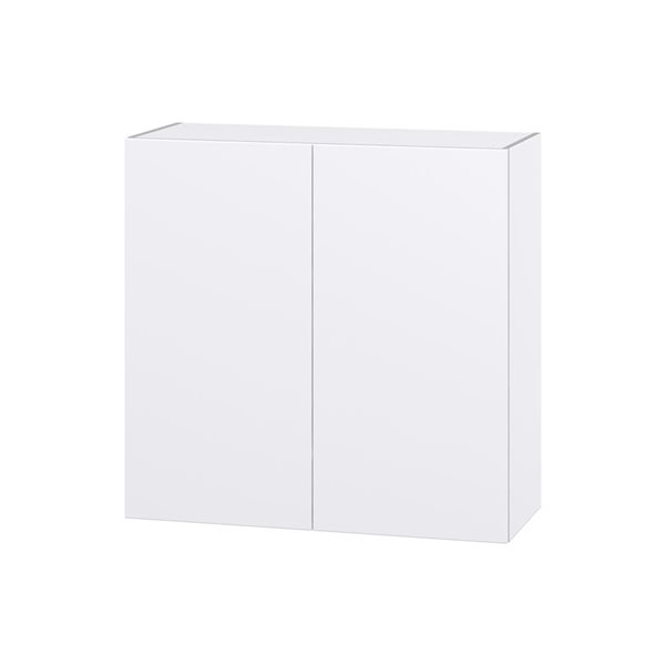 Hugo&Borg Lasalle 36 x 35 x 14.88-in Glacier White Door Wall Semi-Custom Cabinet