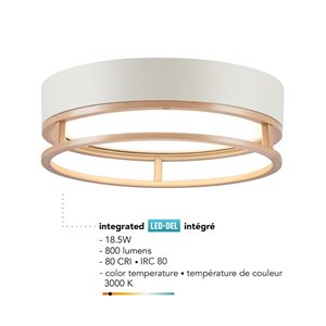 Plafonnier affleurant  Globe Electrique extérieur/intérieur DEL intégrées 18,5 W blanc