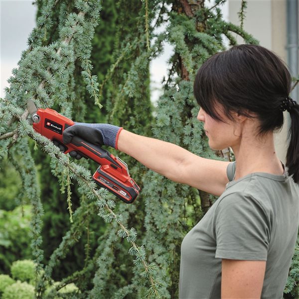 Einhell cordless chainsaw: Trimming trees made easy
