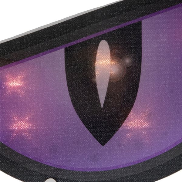 Northlight Lighted Purple and Black Eyes Halloween Window Decoration