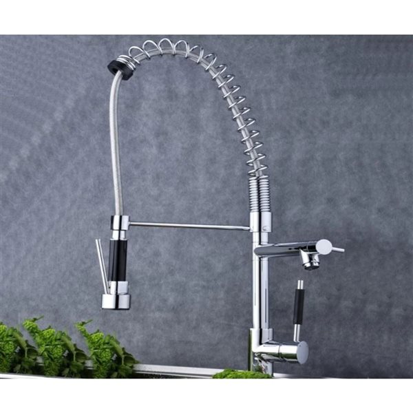 Drop Bath And Kitchen Chrome 2-Handle Pull-down Handshower Commercial/Residential Single-Unit Kitchen Faucet