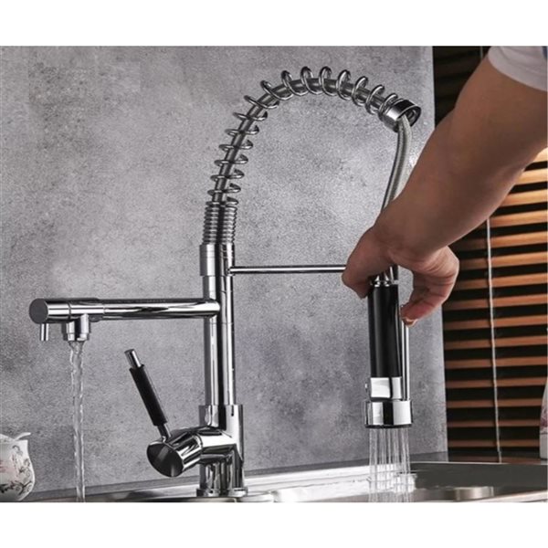 Drop Bath And Kitchen Chrome 2-Handle Pull-down Handshower Commercial/Residential Single-Unit Kitchen Faucet