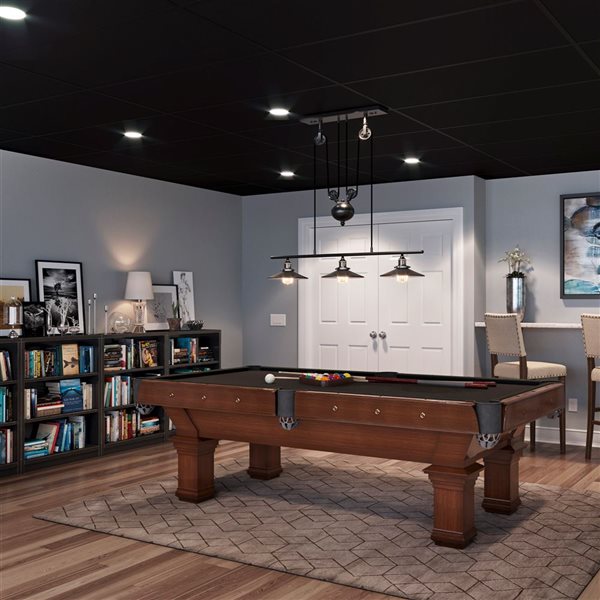 Genesis 48-in x 24-in Smooth Pro Black Smooth 15/16-in Drop Ceiling TIles Genesis 48-in x 24-in Smooth Pro Black Smooth 15/16-in Drop Ceiling TIles