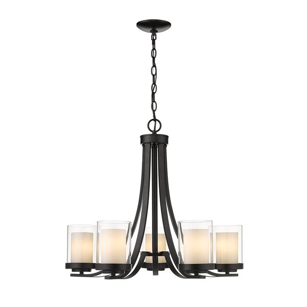 Z-Lite Matte Black Glass Willow 5-Light Chandelier