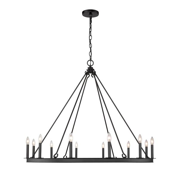 Z-Lite Matte Black Metal Barclay 12-Light Chandelier