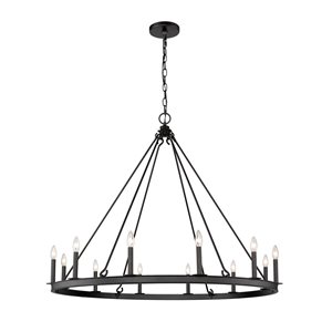 Z-Lite Matte Black Metal Barclay 12-Light Chandelier