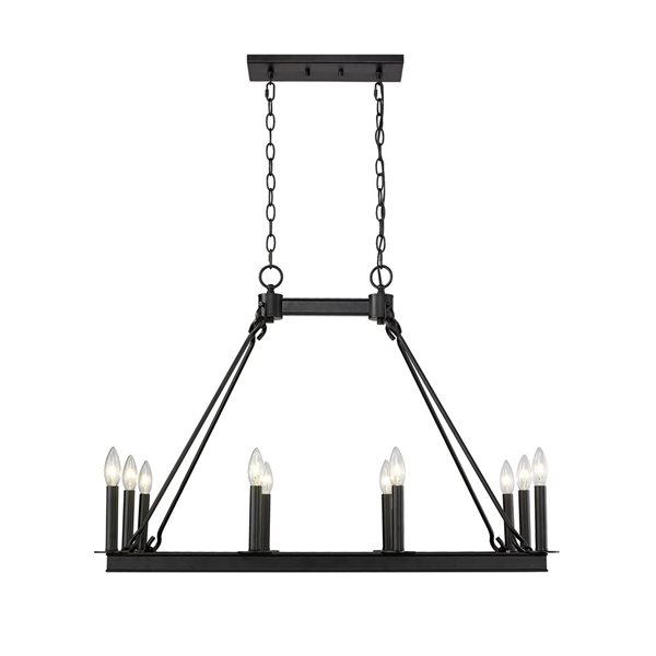 Z-Lite Matte Black Metal Barclay 10-Light Chandelier