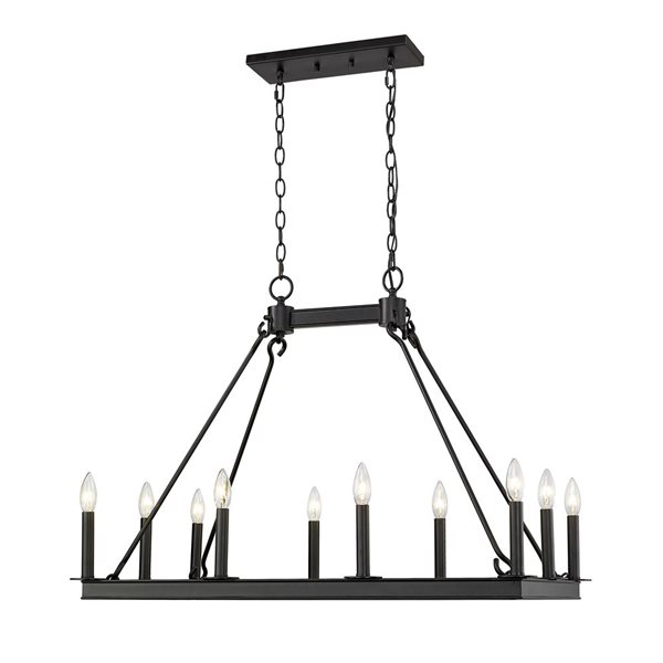 Z-Lite Matte Black Metal Barclay 10-Light Chandelier