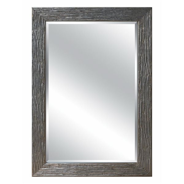 A&E Bath and Shower Modern 27.5-in Vintage Silver Rectangular Bathroom Mirror