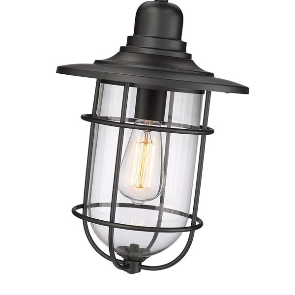 Millennium Lighting Outdoor Powder Coat Black Transitional Clear Glass Lantern Standard Medium Pendant Light