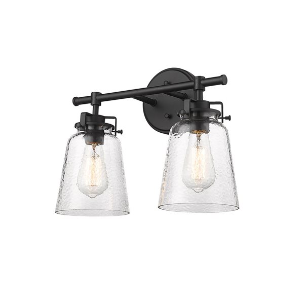 Millennium Lighting Amberose 2-light Black Transitional Vanity Light