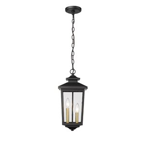 Millennium Lighting Eldrick Powder Coat Black Transitional Clear Glass Lantern Pendant Light