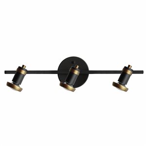 Whitfield Lighting Sheldon 1-Light 20.9-in Black/Natural Gold Dimmable Flush-Mount Track Light