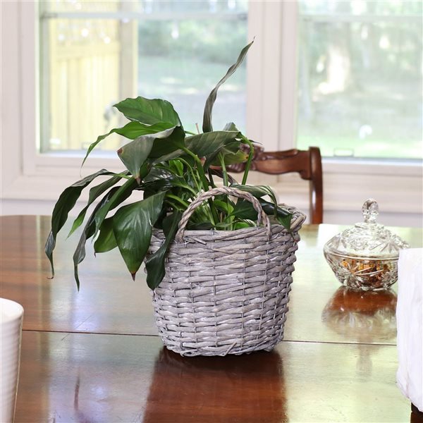 Sunnydaze 5 Wicker Rattan Basket Planters with Handles and Plastic Lining Gray 8-in