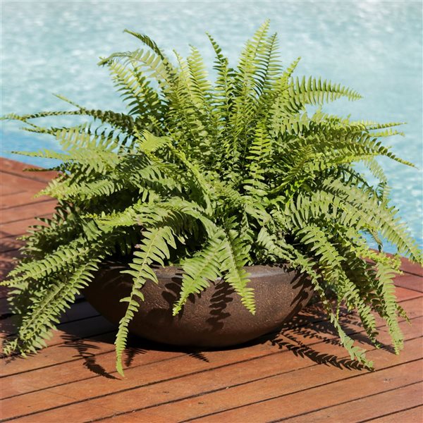 Sunnydaze Percival Outdoor Flower Pot Planter Brown Sable 20.75-in