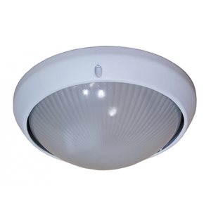 Chris 1 Light Wall Ceiling Lighte-26 Outdoor  Industrial 8 In, White