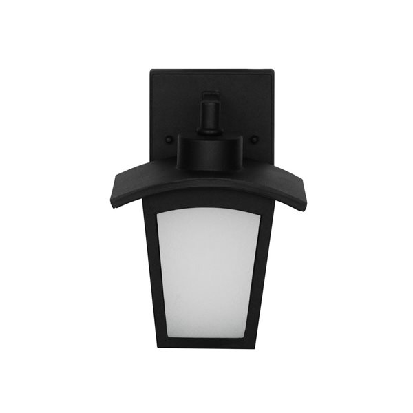 Lionel 1 Light Wall Lanterns Ceiling Light Transitional  E-26, 10 In Black