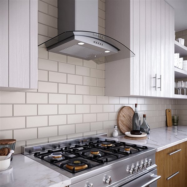 Streamline Rubiani 30-in 220 CFM Wall Mount Convertible Range Hood in Brushed Stainless Steel - Charcoal Filter