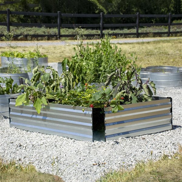 Grapevine 12 x 35.5-in Rectangular Galvanized Steel Raised Garden Bed