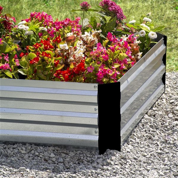 Grapevine 12 x 35.5-in Rectangular Galvanized Steel Raised Garden Bed