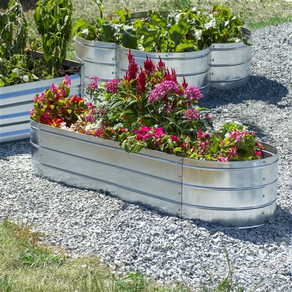 Grapevine Galvanized Steel Raised Garden Bed, Oval, 48IN, Silver