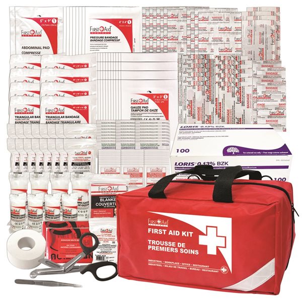 First Aid Central CSA Type 2 Basic Large First Aid Kit in a Nylon Case