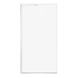 Turin Bonita 40 x 80-in White Fixed Frame Clear Glass Shower Panel