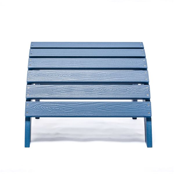 Repose-pieds Tanfly bleu marine 20 x 19 x 14 po