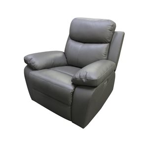 Levoluxe Aveon 38.5-in Pillow Top Arm Reclining Chair in Gray Leather Match