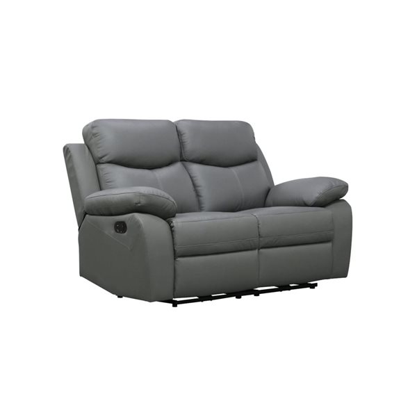 Levoluxe Aveon 62-in Pillow Top Arm Reclining Loveseat in Gray Leather Match