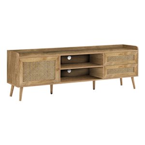 Monarch Specialties 72-in Walnut Transitional TV Stand