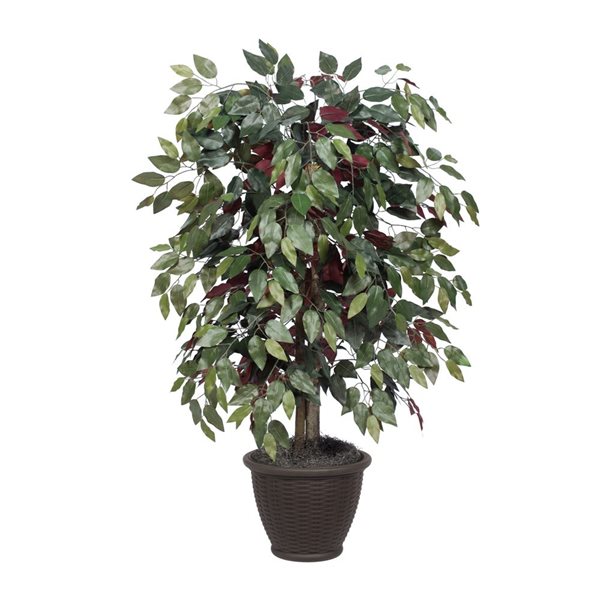 Vickerman 4-ft Artificial Capensia Bush in Brown Plastic Container