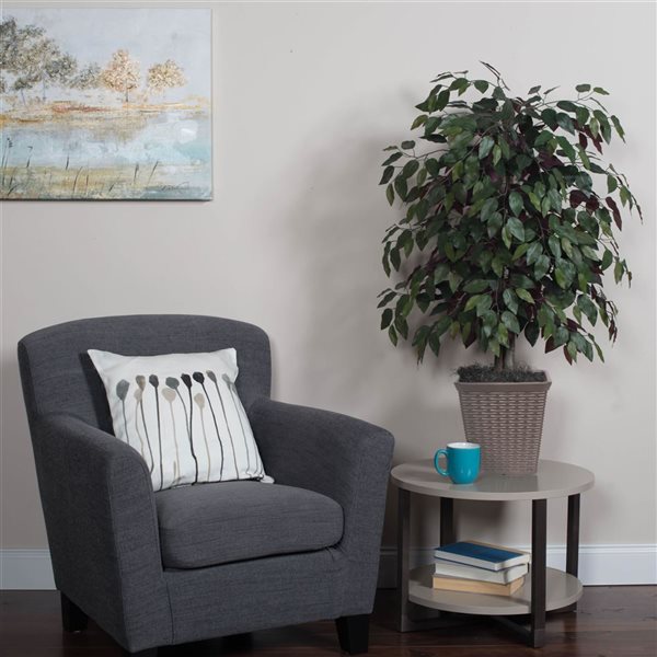 Vickerman 4-ft Artificial Capensia Bush in Brown Square Plastic Basket