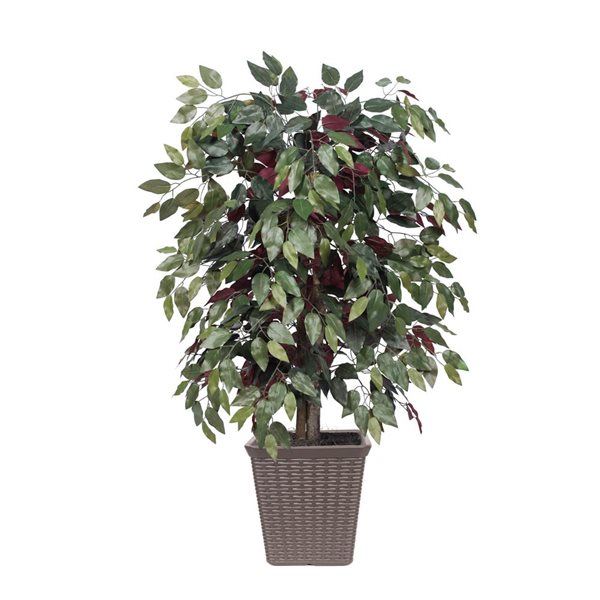Vickerman 4-ft Artificial Capensia Bush in Brown Square Plastic Basket