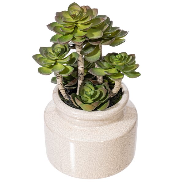Vickerman 11-in Artificial Green Succulent in Round Ceramic Pot