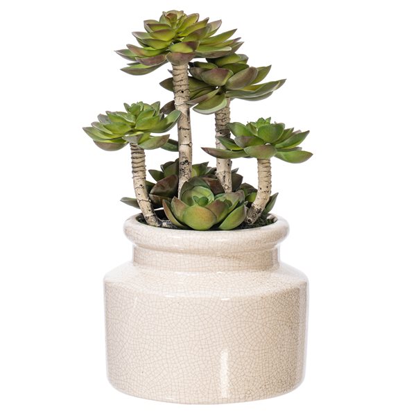 Vickerman 11-in Artificial Green Succulent in Round Ceramic Pot