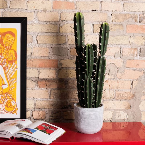 Vickerman 27.5-in Artificial Green Cactus Plant