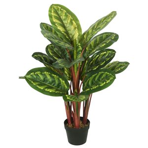 Vickerman 3-ft Artificial Green and Brown Peacock Plant (Calathea)