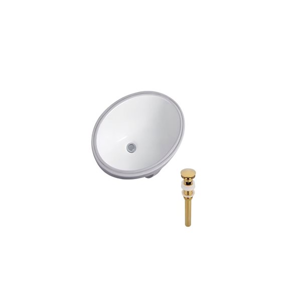 DROP Bath and Kitchen 23.6-in W Oval Ceramic Bathroom Undermount Sink Set in White with Gold Drain