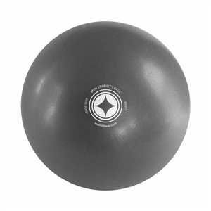 Stability Ball Mini par Merrithew 12 po grise