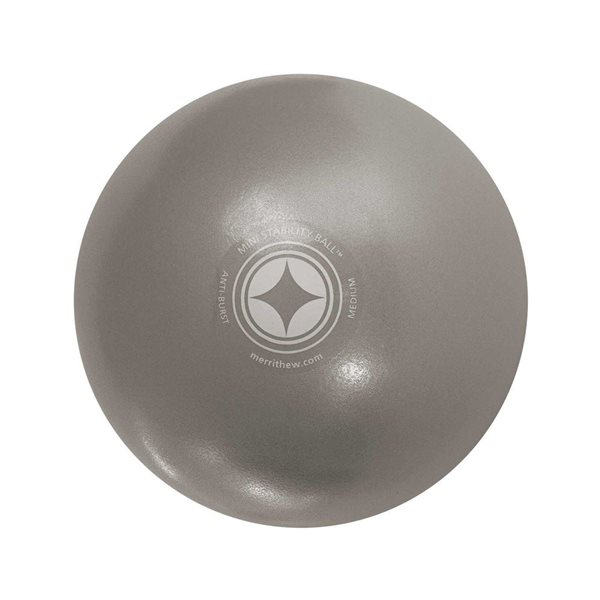 Stability Ball Mini par Merrithew 10 po argentée